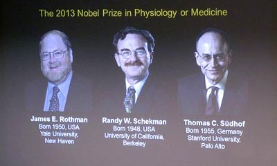 Công bố giải Nobel Y học 2013
