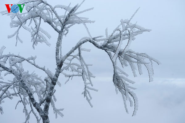 Kỳ thú băng tuyết trên đỉnh Mẫu Sơn 