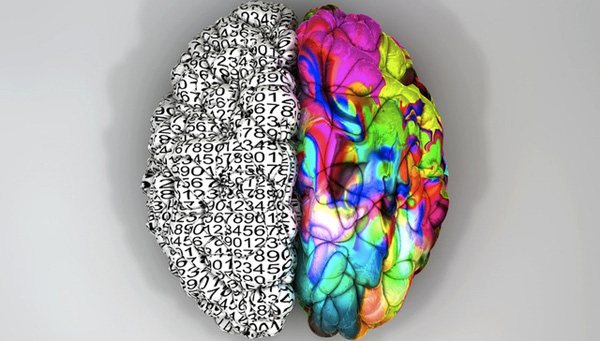 Sự thật mới được phát hiện về ‘người não trái’ và ‘người não phải’