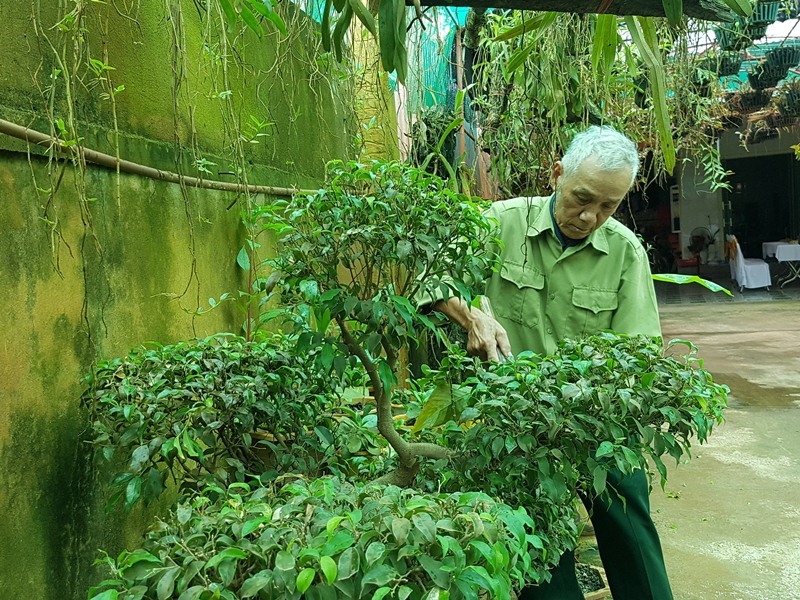 Dân số cao tuổi không có nghĩa hoàn toàn là gánh nặng. Ảnh: KH.V